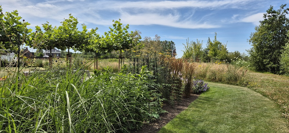http://Grasland%20met%20bloemenweide%20achtertuin